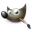 GIMP